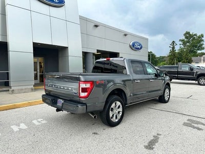 2023 Ford F-150 Platinum