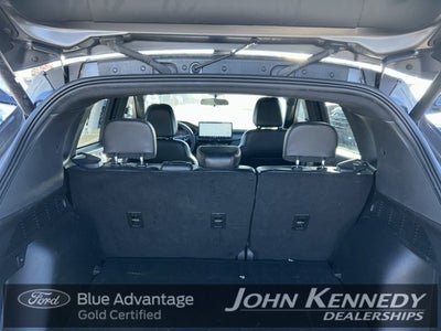 2023 Ford Escape ST-Line